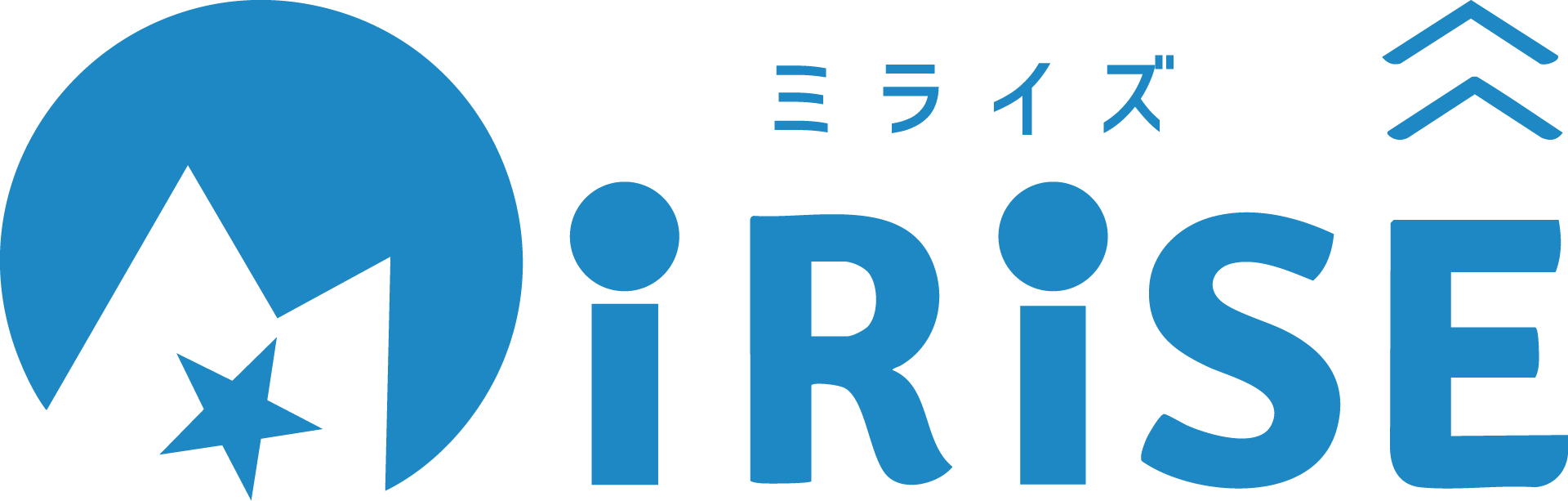 MiRiSE ミライズ 事業分析システム